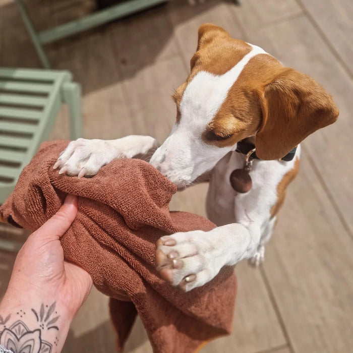 Willow honey being wrapped up cozy in the Tiny Paws robe after a bath, shared by @willowhoneyb on Instagram