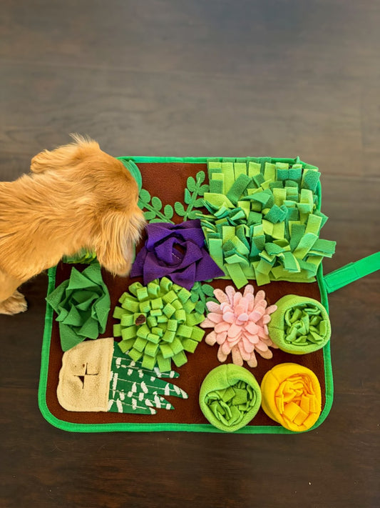 Sniff Safari closeup — real pet exploring the snuffle mat