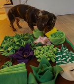 Sniff Safari explorer — real pet exploring the snuffle mat