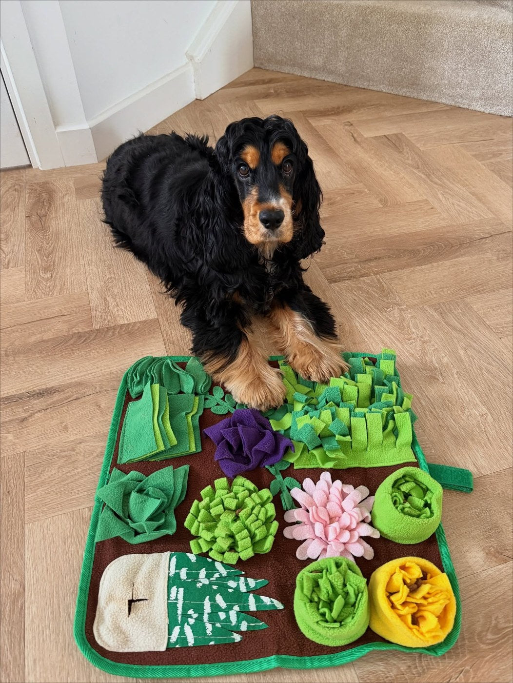 A black and tan dog with the Sniff Safari snuffle mat