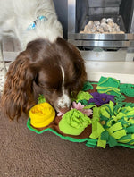 Sniff Safari spaniel — real pet exploring the snuffle mat