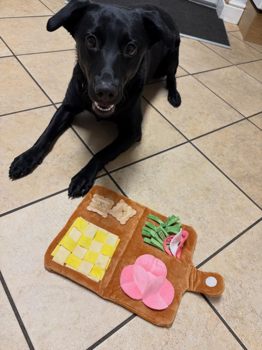 Black lab with paw on Snuffle Safari mat