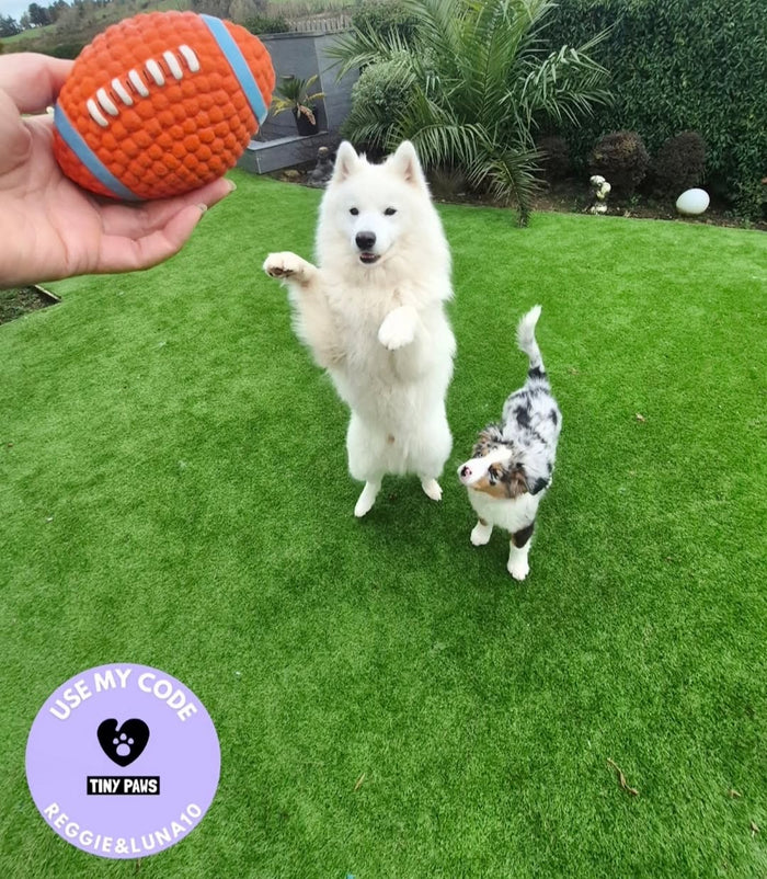 @thetinypawsofficial with The Tough-Bite