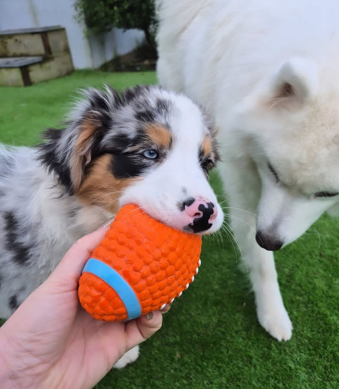 @thetinypawsofficial with The Tough-Bite