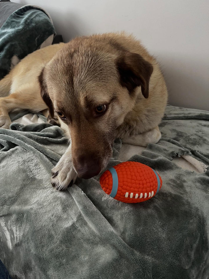 @alfietheanatolian with The Tough-Bite