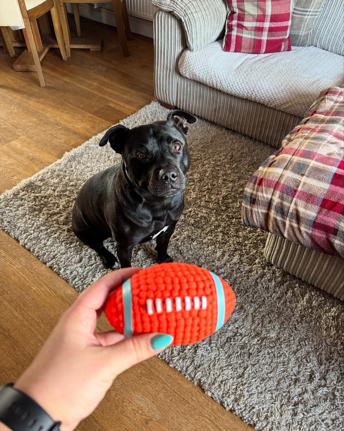 @hugothestaffy2021 with The Tough-Bite