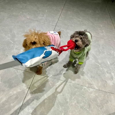 Show them the shark